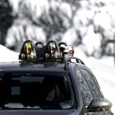 Menabo Himalaya Magneet Skidrager set