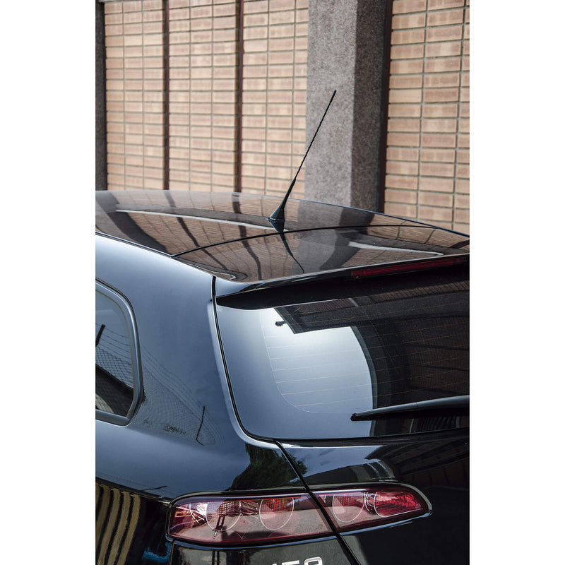 Zwarte AM/FM Auto Antenne 30cm 10st