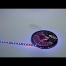 5 Meter LED Rol Violet Waterdicht