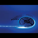 5 Meter LED Rol blauw Waterdicht