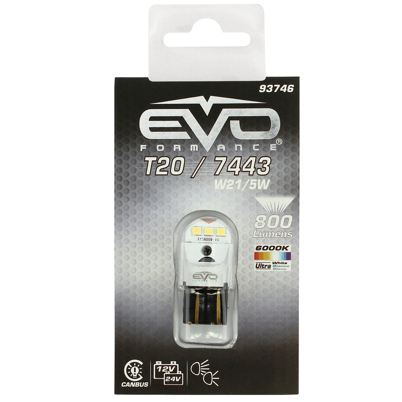 LED lamp T20 Canbus 600LM 12/24V T20 P21/5W WIT 1ST