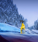 2 in 1 Ruitenontdooier & Anti-Regen 500 ml