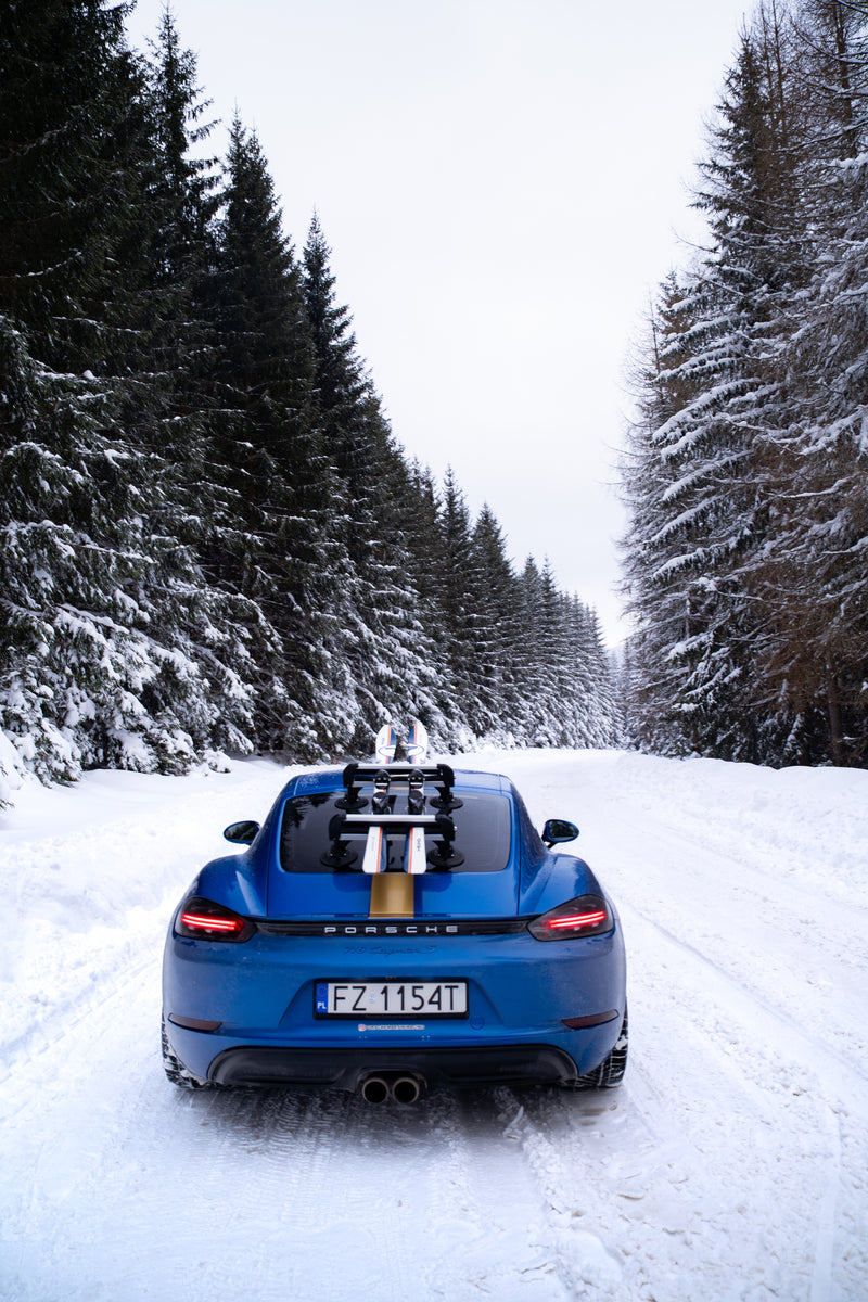 TreeFrog Ski&Snowboard 365 Carrier for Crossbar