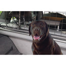 Honden beschermingsnet voor aan de hoofdsteun