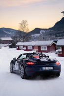 TreeFrog Ski&Snowboard 626 Rack