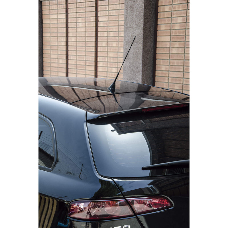 Zwarte AM/FM Auto Antenne 38cm 1st