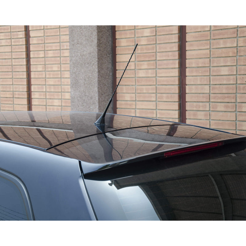 Zwarte AM/FM Auto Antenne 30cm 10st