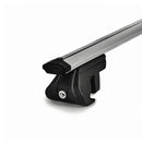 Green Valley dakdrager Trax geschikt voor Renault Grand Scenic (III) (2009-2017)-1